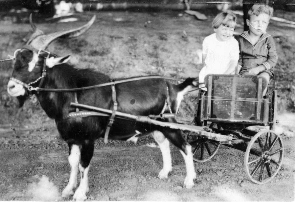 cart, wheel, Children, IA, boy, history of Iowa, girl, Animals, bridle, Iowa History, Schrodt, Evelyn, horns, wagon, goat, Outdoor Recreation, Iowa