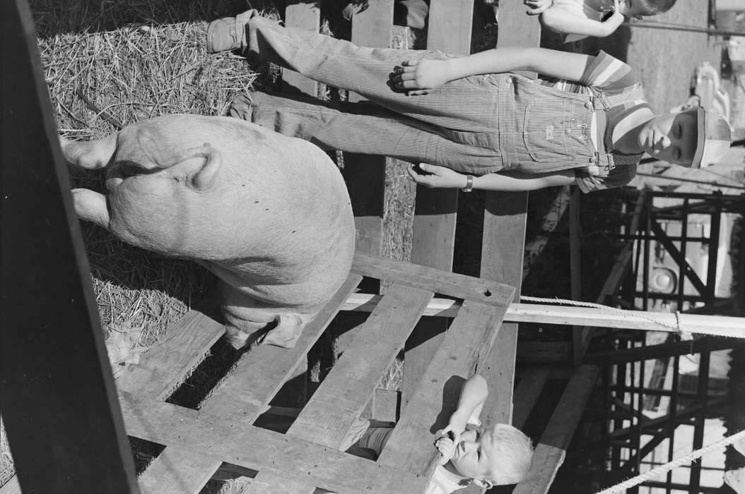 Portraits - Group, farm, history, Photos, Farming Equipment, Children, Animals, Iowa, pig pen, IA, family farm, United States, ia, Coon Rapids Enterprise, historic, children, Coon Rapids, Farms