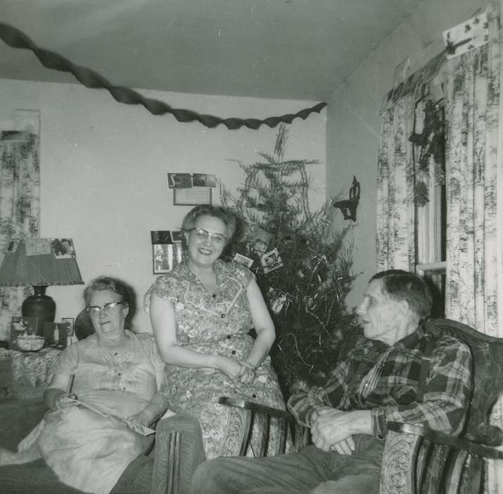 Homes, christmas, Holidays, christmas tree, Iowa History, Travel, Portraits - Group, Families, Iowa, Edina, MO, Fredericks, Robert, history of Iowa