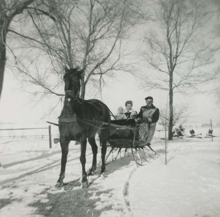 horse, Iowa History, Grundy County, IA, Portraits - Group, Families, couple, Iowa, history of Iowa, sled, Vauthier, Elizabeth, Outdoor Recreation