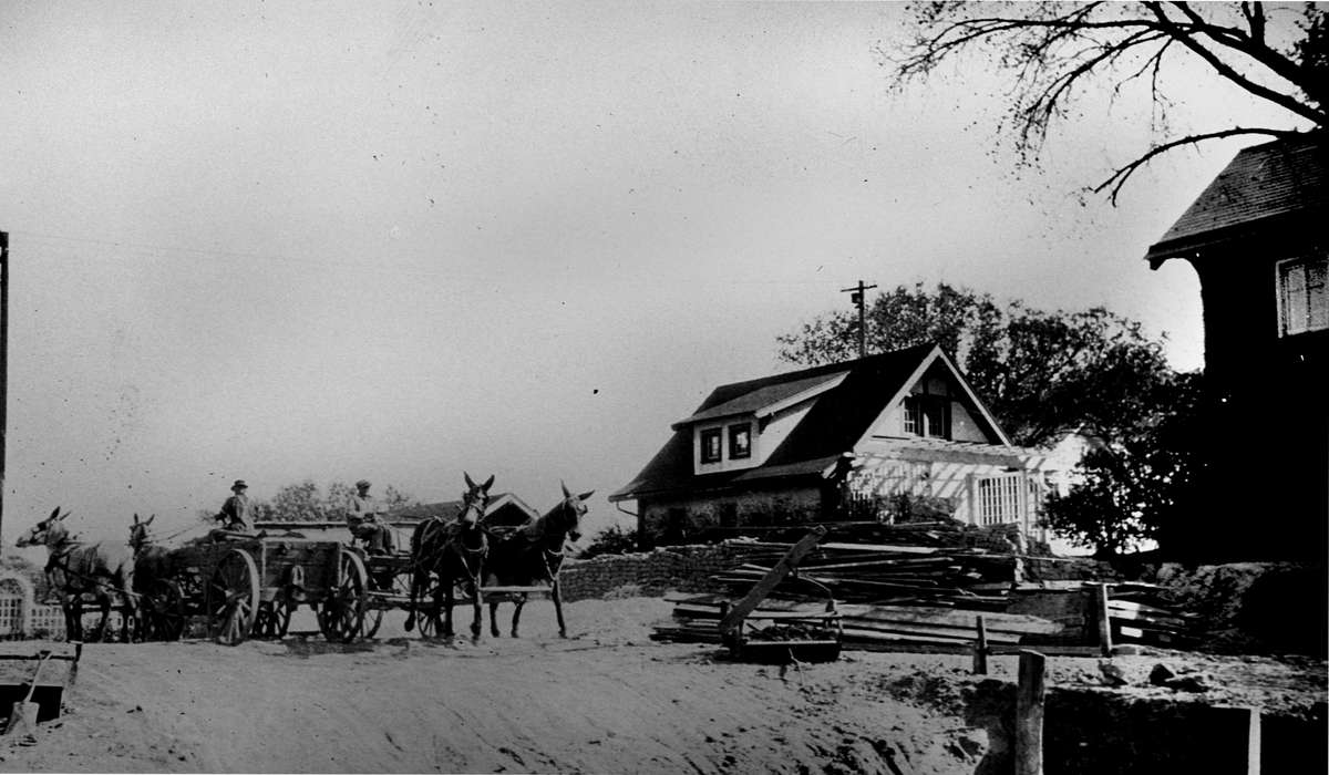 horse, wagon, history of Iowa, Lemberger, LeAnn, Iowa, Iowa History, Homes, Animals, Ottumwa, IA, construction