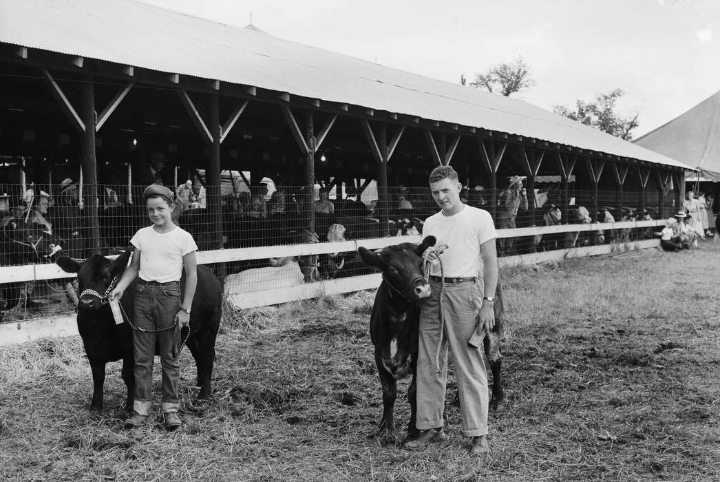 Portraits - Group, IA, historic, Coon Rapids, Fairs and Festivals, barn, Animals, boys, tent, Iowa, United States, Photos, Coon Rapids Enterprise, history, ia, smile, calves, Children