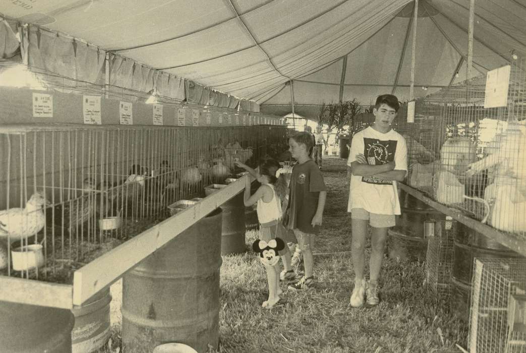 Waverly Public Library, barrel, county fair, tent, boy, Animals, chicken, history of Iowa, Iowa, Children, Iowa History, bird cage, Waverly, IA, correct date needed, Fairs and Festivals