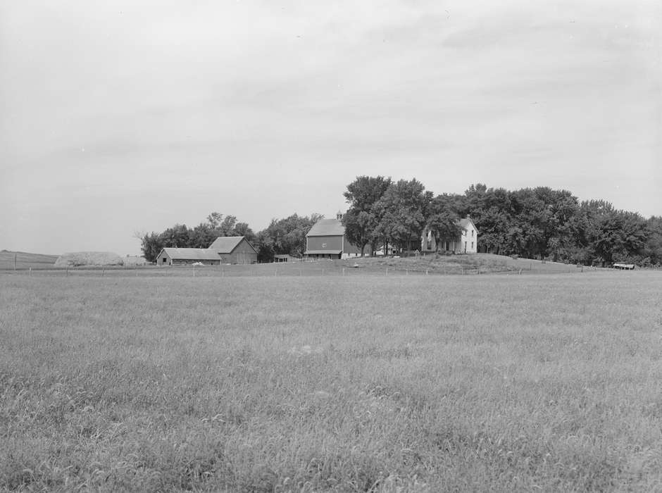 Homes, history of Iowa, Farms, farm house, farm, Iowa, Landscapes, tree, Barns, Library of Congress, pasture, Iowa History