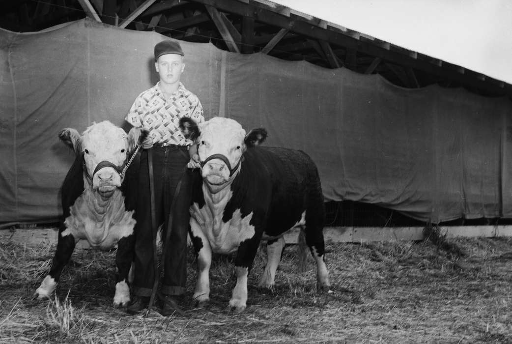 IA, historic, Coon Rapids, baseball cap, Fairs and Festivals, barn, Animals, straight face, Portraits - Individual, cows, Iowa, United States, Photos, boy, history, ia, Coon Rapids Enterprise, Children