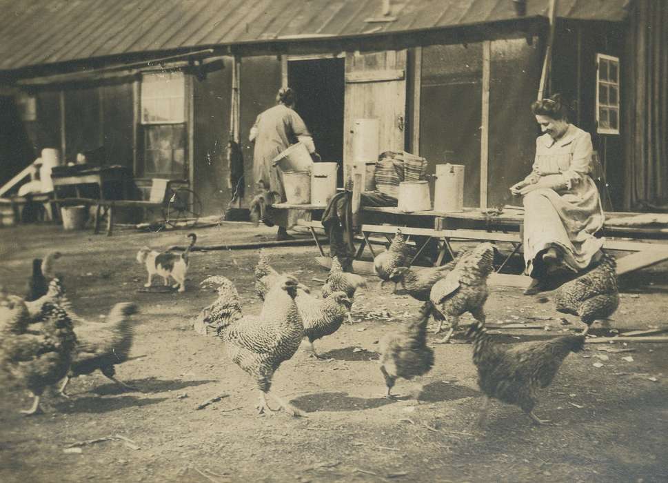 Farms, cat, Iowa History, Spilman, Jessie Cudworth, chicken, Animals, bird, Iowa, history of Iowa, USA