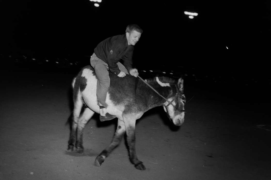 United States, history, donkey, ia, Entertainment, Photos, Coon Rapids Enterprise, Animals, historic, Iowa, IA, Coon Rapids