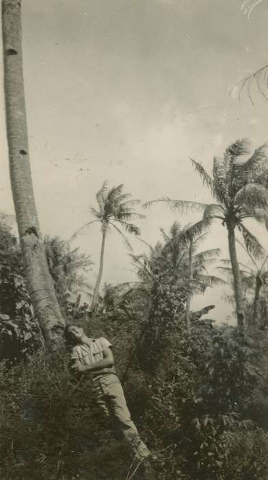 Military and Veterans, Saipan, Travel, Iowa, Iowa History, history of Iowa, palm tree, Fink-Bowman, Janna