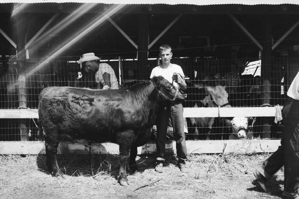 IA, stables, historic, Coon Rapids, Fairs and Festivals, Barns, Animals, Portraits - Individual, cows, Iowa, United States, Photos, boy, history, ia, Coon Rapids Enterprise, Children, cowboy hat