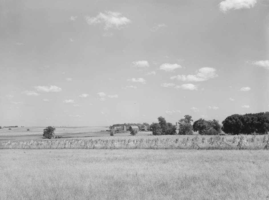 Landscapes, hills, pasture, history of Iowa, farmland, cornfield, Iowa, Farms, Library of Congress, Iowa History, Barns