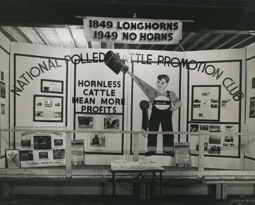 Labor and Occupations, Black Hawk, poster, Fairs and Festivals, Photos, ia, cattle congress, historic, history, Grout Museum of History and Science, United States, Iowa, IA, Waterloo, longhorn, display, national cattle congress