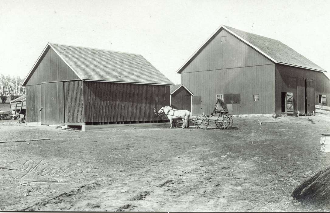 Barns, horse and buggy, Anamosa, IA, Iowa History, Anamosa Library & Learning Center, Iowa, Animals, horse, Farms, history of Iowa