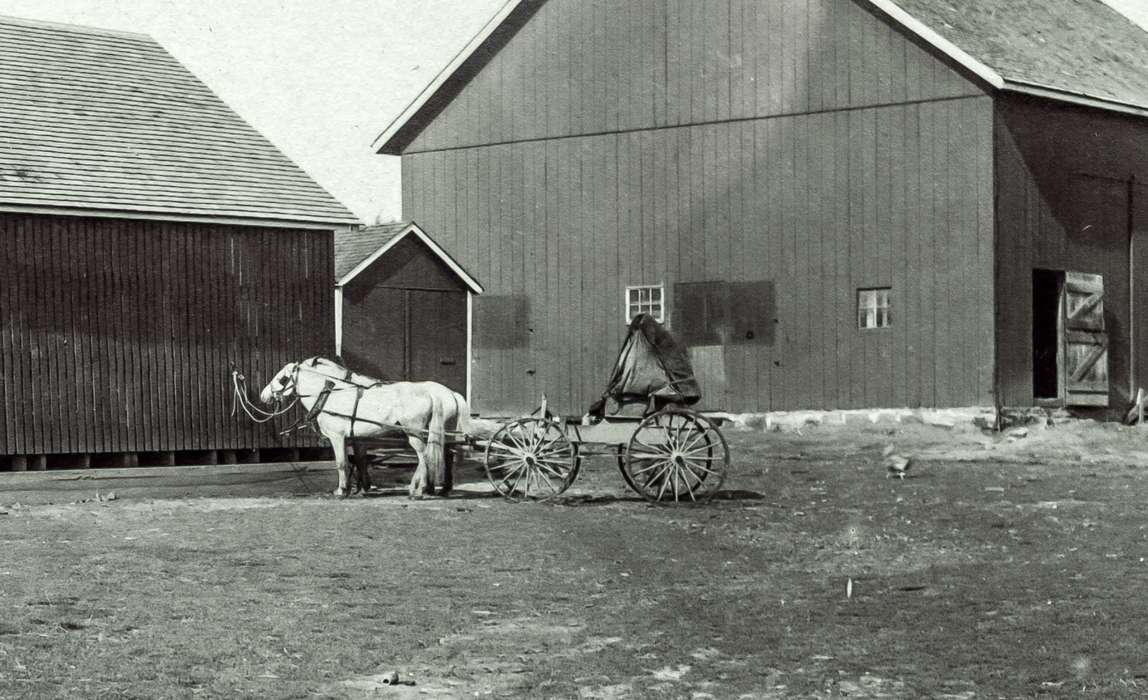 buggy, horse, Farms, Iowa History, Barns, horse and buggy, Animals, Anamosa, IA, Iowa, Anamosa Library & Learning Center, history of Iowa