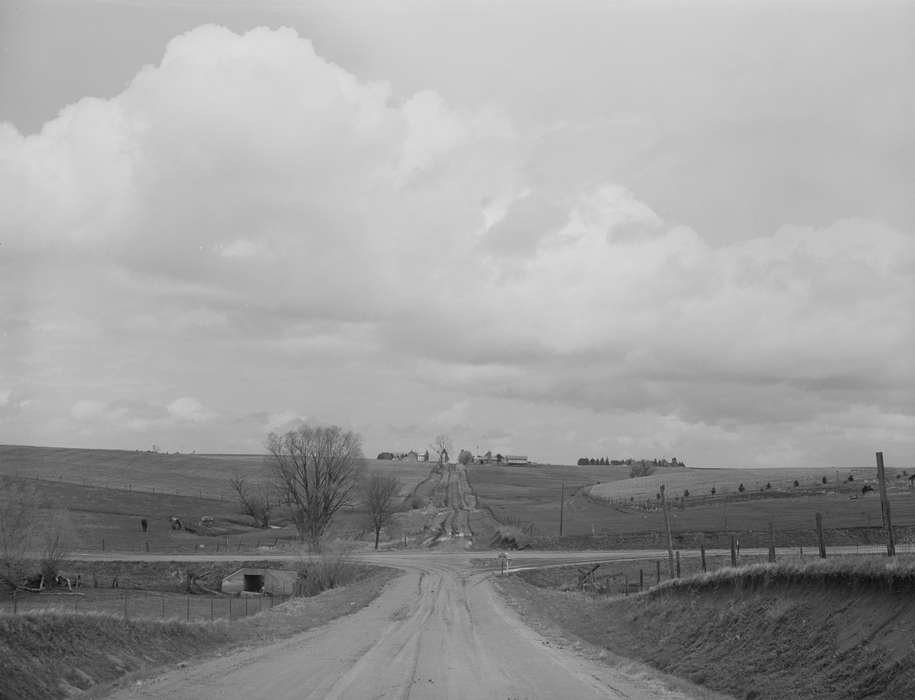 Library of Congress, Iowa History, Landscapes, Homes, Farms, bridge, dirt road, history of Iowa, horses, farmland, Animals, Barns, Iowa