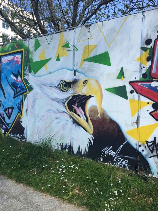 bald eagle, Cities and Towns, Portugal, graffiti, historic, history, Photos, mural, streetart, bird, StreetArtCEI, eagle