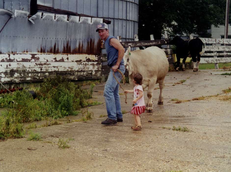 Children, Buckeye, IA, steer, Farms, Animals, Vierkandt, Stephanie, bull, Barns, history of Iowa, Iowa History, Iowa