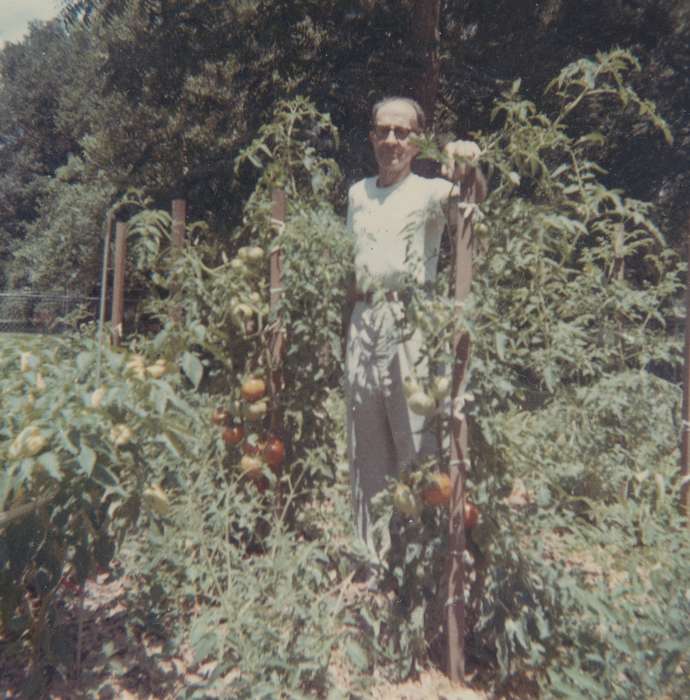 tomato, Homes, old man, USA, Portraits - Individual, garden, Iowa History, Iowa, Food and Meals, Spilman, Jessie Cudworth, history of Iowa