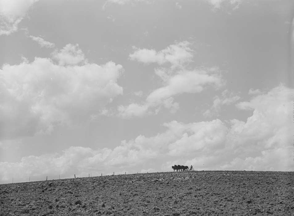 horse drawn, Farms, Labor and Occupations, field, Library of Congress, Landscapes, horses, scenic, fence, Iowa History, Animals, history of Iowa, Farming Equipment, Iowa