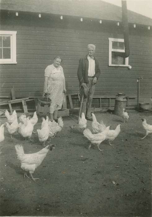 Animals, chickens, Homes, Iowa History, Iowa, Marcus, IA, Schmillen, Gloria, history of Iowa, Farms