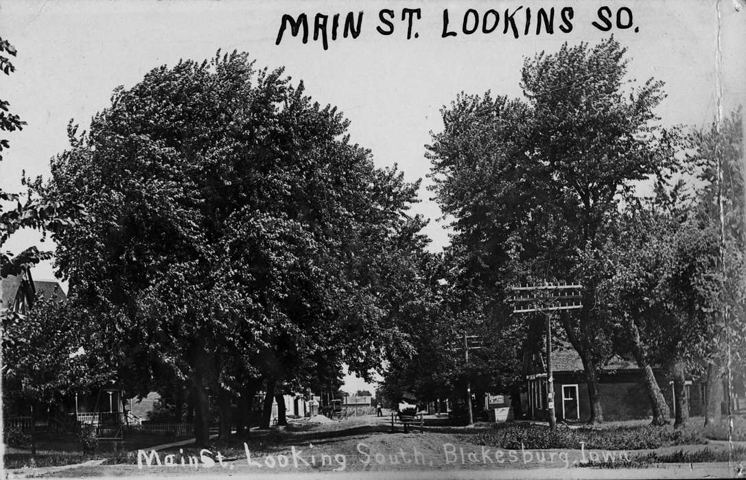 Iowa History, mainstreet, Iowa, Lemberger, LeAnn, Main Streets & Town Squares, neighborhood, tree, Blakesburg, IA, history of Iowa