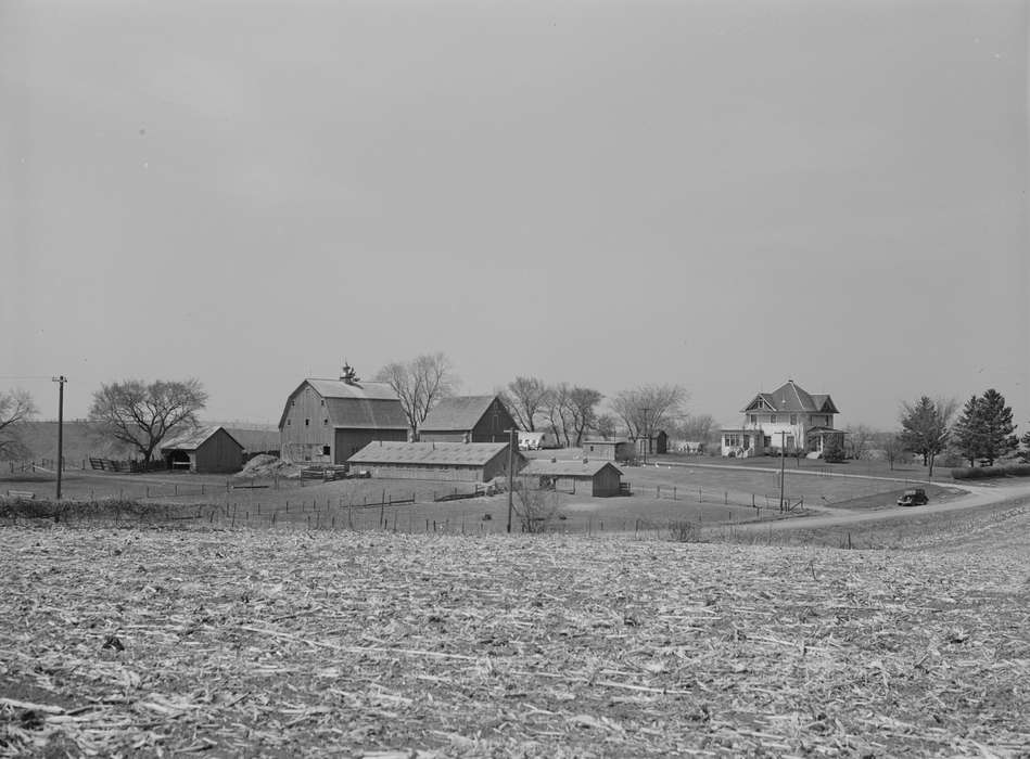 Homes, Barns, history of Iowa, farmland, Library of Congress, Iowa History, Motorized Vehicles, Iowa, farm house, Landscapes, cornfield, Farms