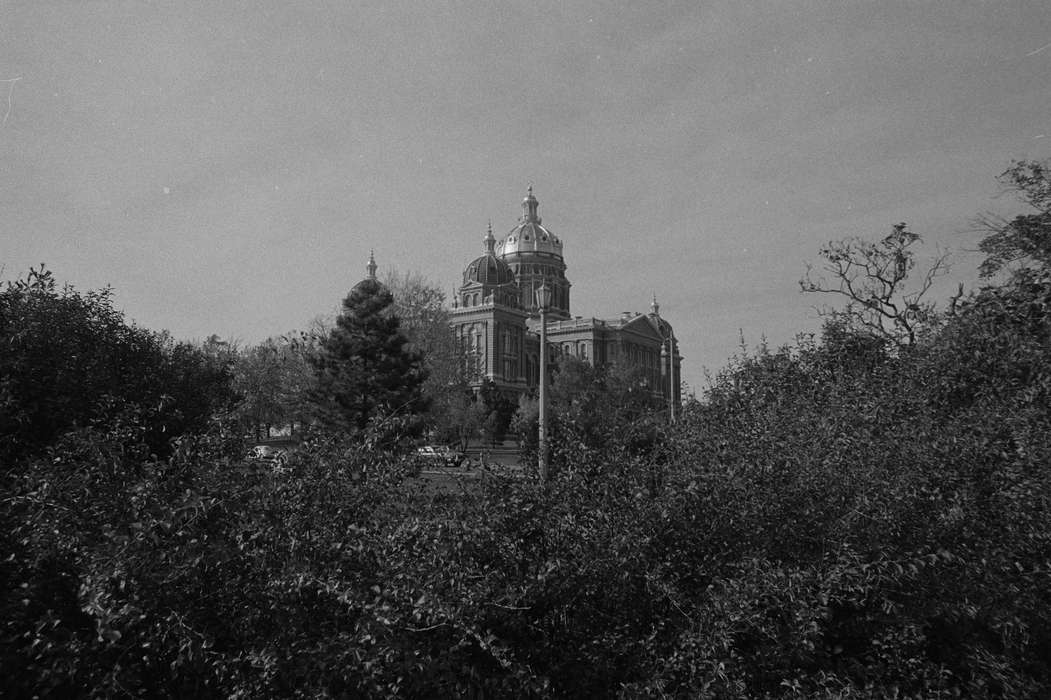 Lemberger, LeAnn, Landscapes, street light, dome, tree, capitol, Cities and Towns, Iowa, Iowa History, hedge, history of Iowa, Des Moines, IA