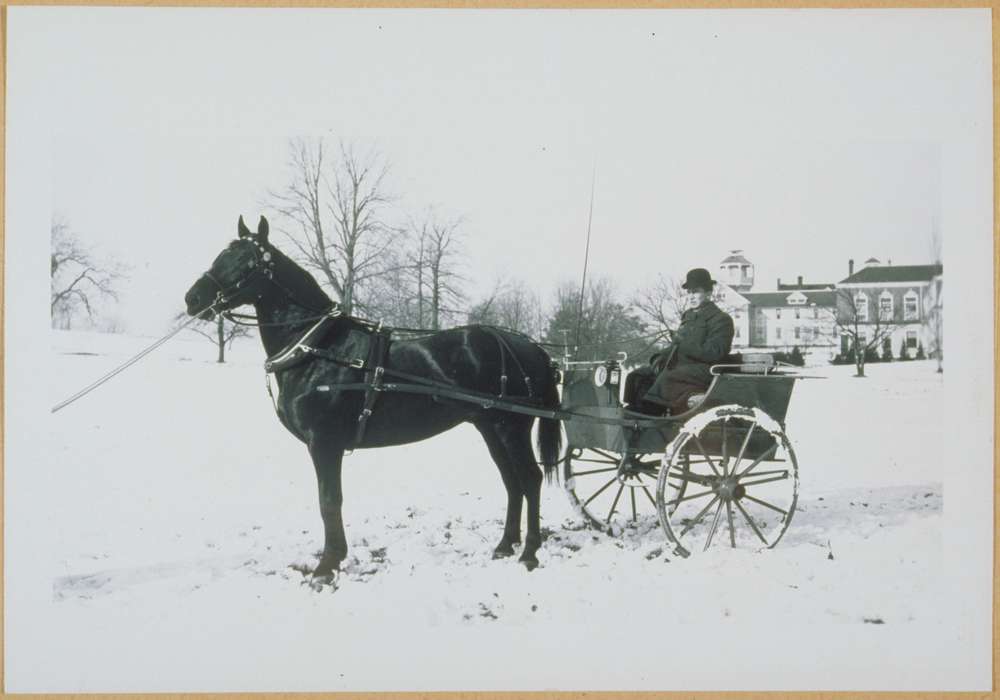 carriage, Iowa History, horse, Archives & Special Collections, University of Connecticut Library, history of Iowa, Iowa, Storrs, CT