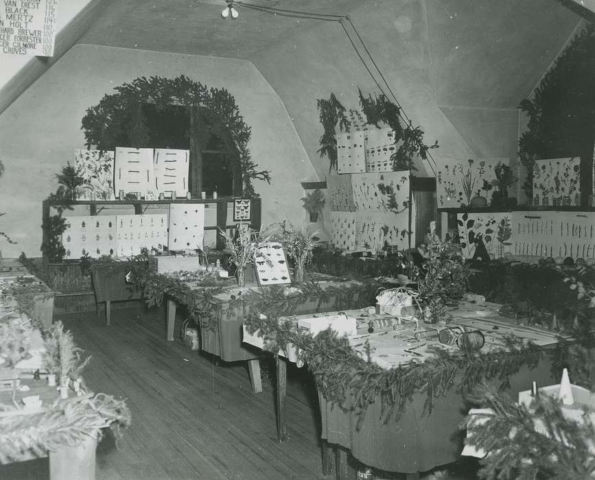 jars, garland, Iowa History, Entertainment, contest, history of Iowa, insect collecting, McMurray, Doug, Iowa, Webster City, IA
