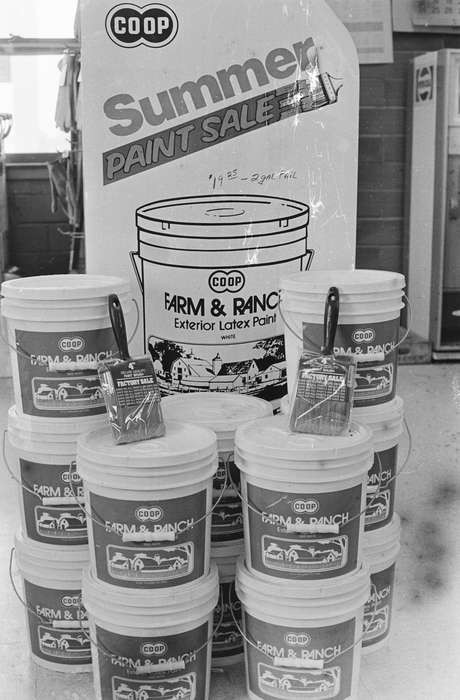 Businesses and Factories, Coon Rapids Enterprise, Coon Rapids, paint, Iowa, historic, United States, ia, history, Photos, IA