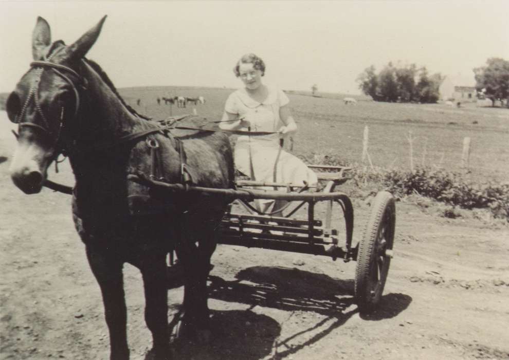 Iowa History, Thul, Cheryl, Iowa, Farms, Whittemore, IA, carriage, donkey, Animals, history of Iowa