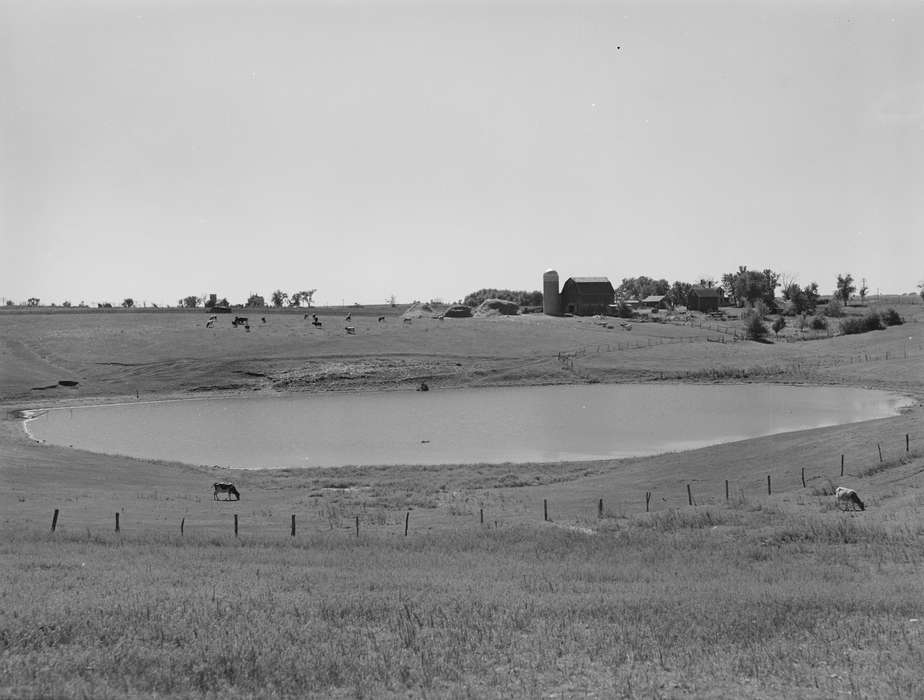 Landscapes, hay mound, pasture, grazing, Lakes, Rivers, and Streams, Iowa History, scenic, Barns, silo, history of Iowa, pond, Farms, Library of Congress, Animals, Iowa, cow