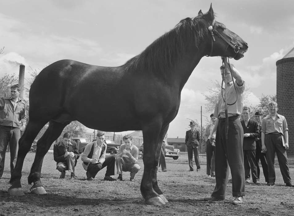 Schools and Education, high school students, history of Iowa, Fairs and Festivals, Iowa History, Animals, horse, Ackerman, Bill, bridle, Iowa