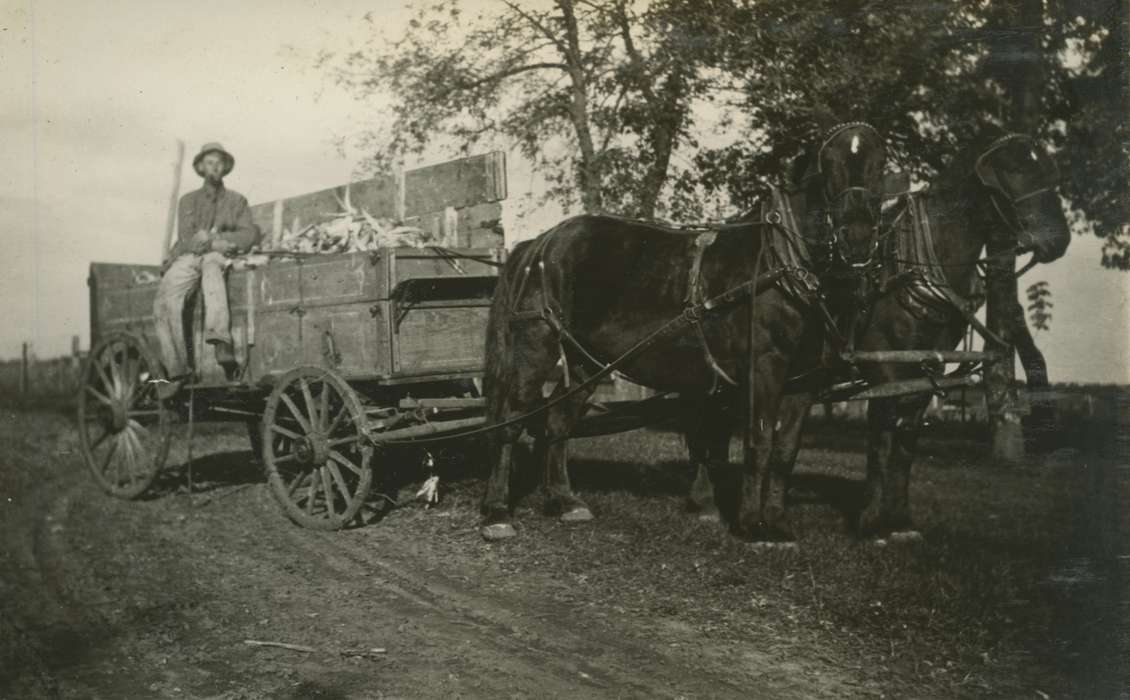 wagon, Farming Equipment, corn, Animals, history of Iowa, Macey, IA, Mortenson, Jill, Iowa, Iowa History, horse, Farms