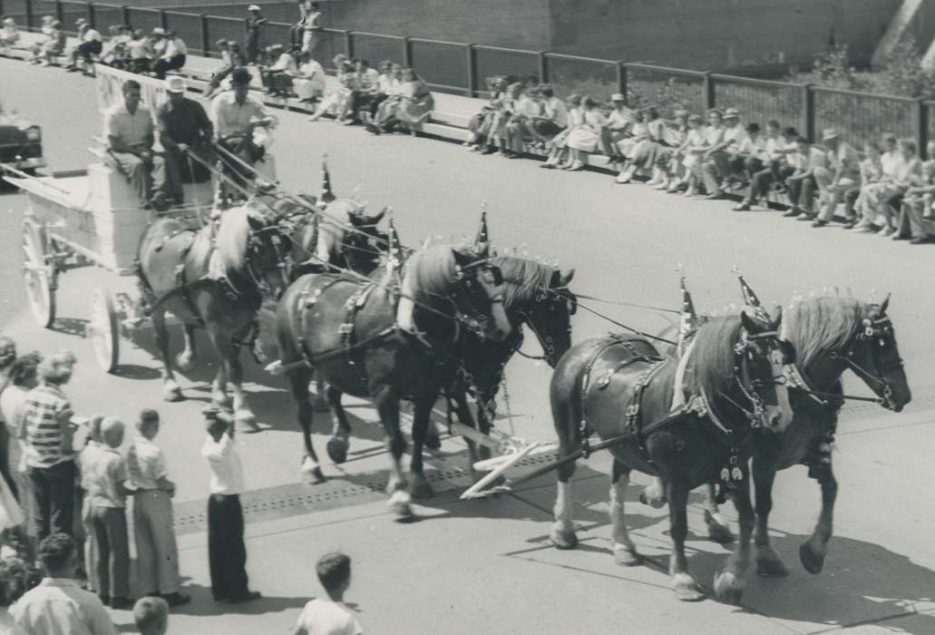 horses, Main Streets & Town Squares, parade, Fairs and Festivals, Iowa History, Cities and Towns, wagon, Animals, Iowa, Waverly Public Library, history of Iowa
