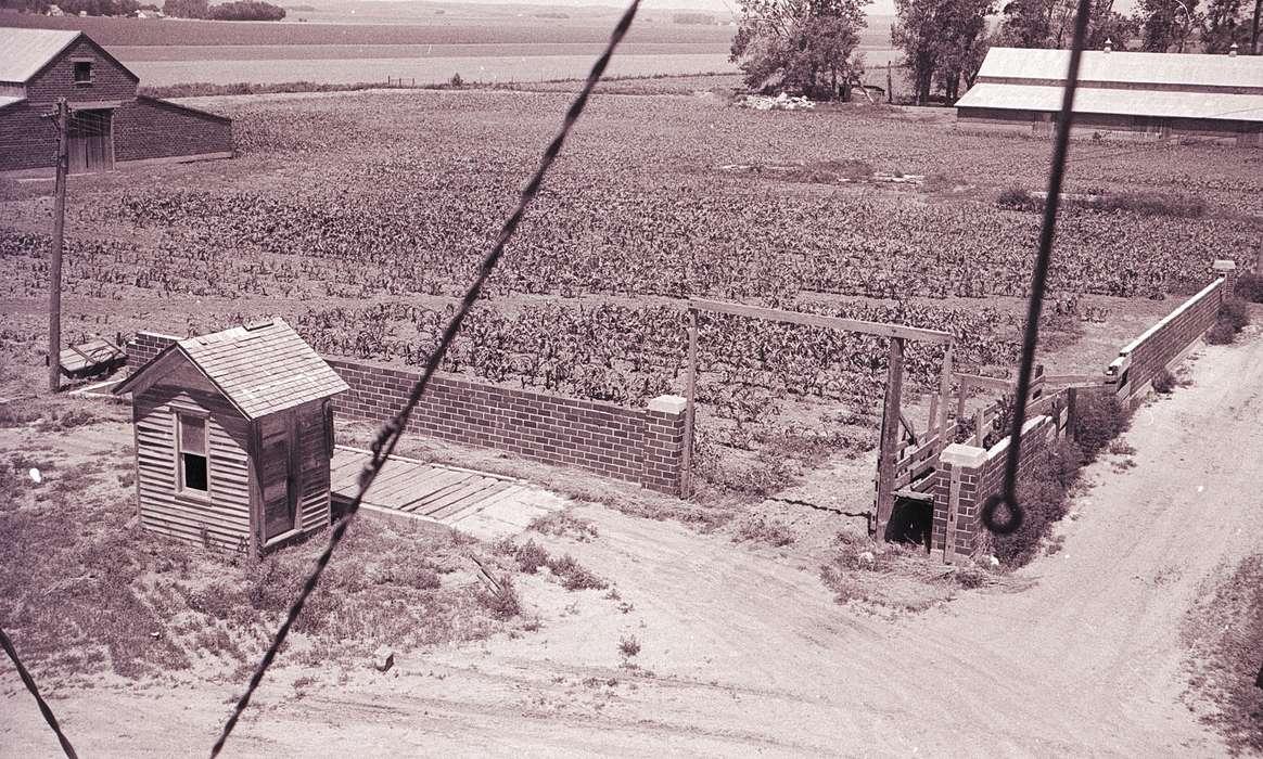 Farms, Aerial Shots, brick, shed, Lyon, Howard, history of Iowa, gravel, farm, Iowa, driveway, cornfield, Iowa History, wood, Orange City, IA