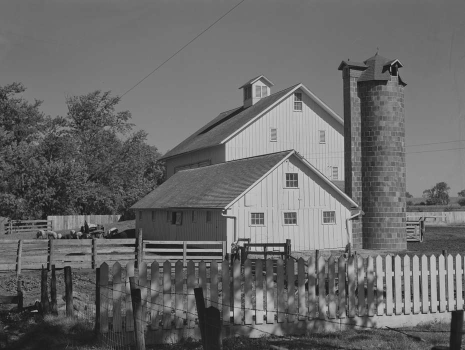 wooden fence, history of Iowa, agriculture, Iowa History, Farms, Animals, Barns, silo, pig farm, Iowa, Library of Congress