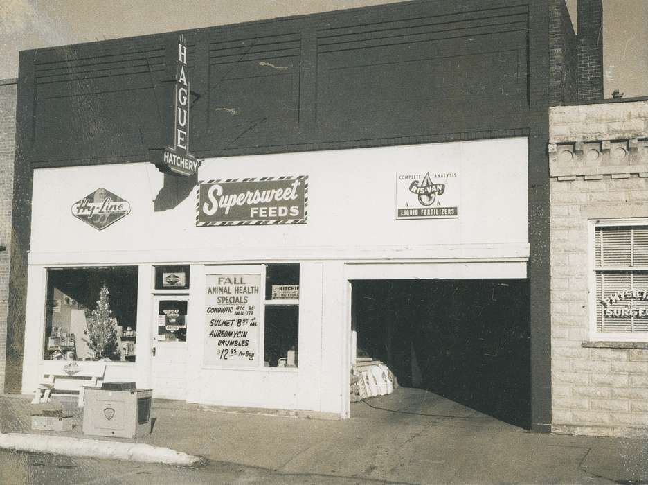 Cities and Towns, Photos, Main Streets & Town Squares, Coon Rapids Enterprise, history, Iowa, Businesses and Factories, historic, ia