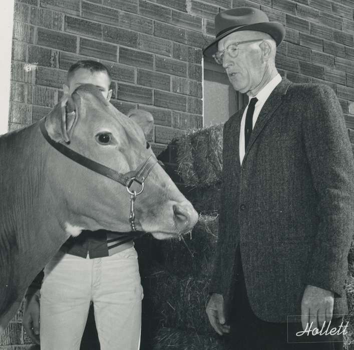 man, cattle congress, IA, historic, Animals, United States, guernsey cow, Waterloo, national cattle congress, necktie, history, Photos, Black Hawk, cow, ia, suit, Grout Museum of History and Science, hat, Iowa