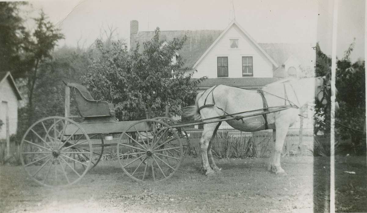 Iowa History, Fort Atkinson, IA, Iowa, Vsetecka, Delores, Homes, horse, horse carriage, history of Iowa, Animals