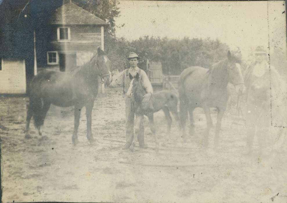 foal, overalls, horse, IA, Portraits - Individual, hat, Animals, history of Iowa, Iowa History, Neessen, Ben, Iowa