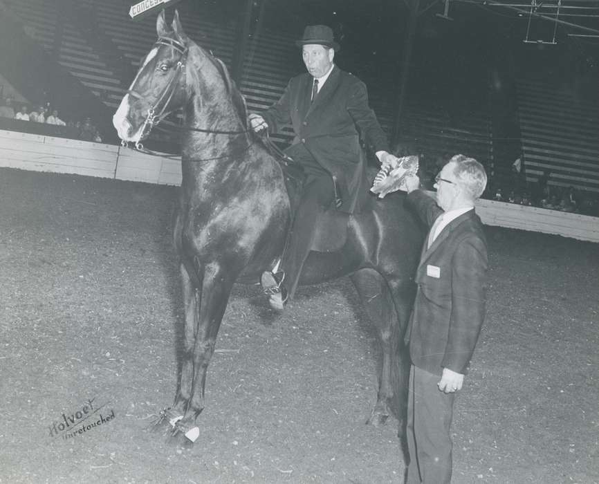 national cattle congress, Animals, cattle congress, award, Photos, history, ia, IA, historic, horse, Black Hawk, Iowa, horse show, Waterloo, Fairs and Festivals, Grout Museum of History and Science, United States