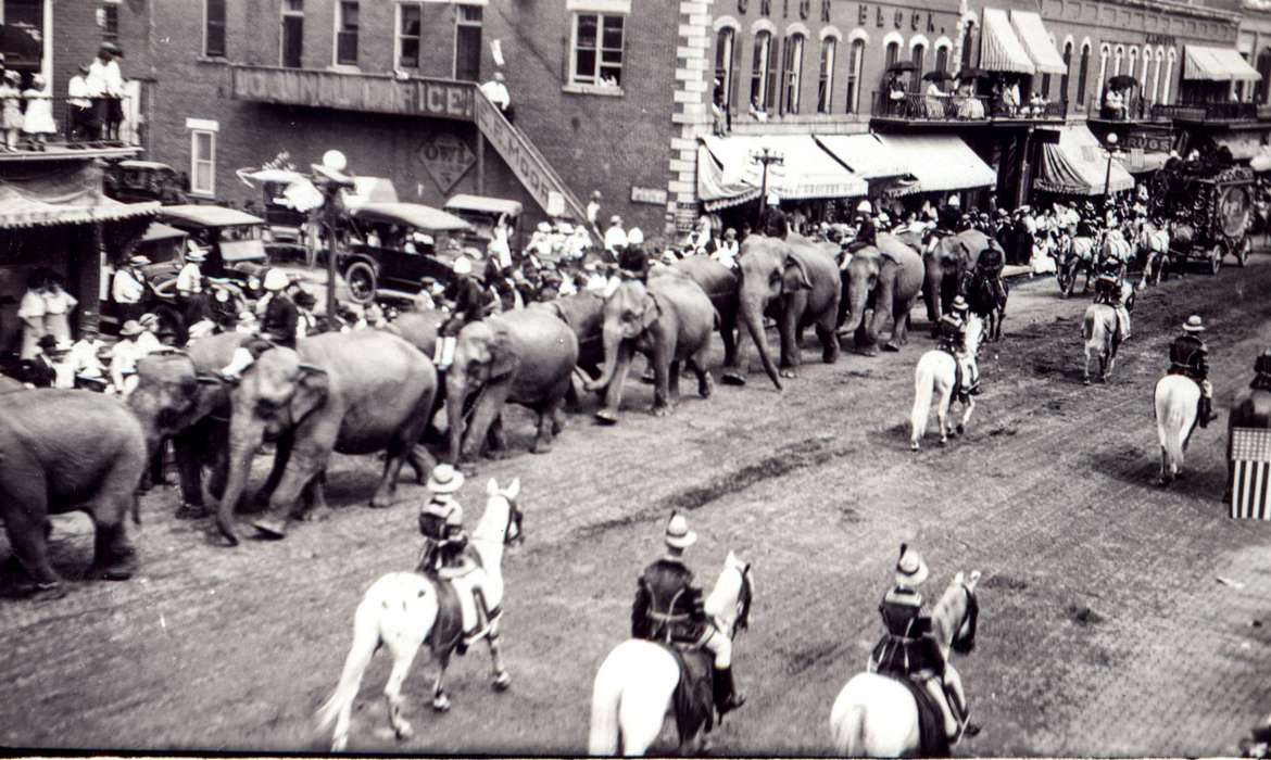 circus, Anamosa, IA, Main Streets & Town Squares, parade, Fairs and Festivals, Entertainment, horse, Anamosa Library & Learning Center, Iowa History, Animals, Iowa, elephant, history of Iowa