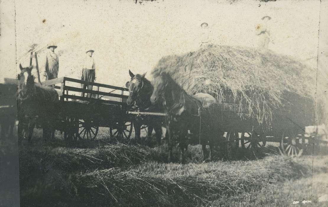 horse and cart, history of Iowa, Neessen, Ben, IA, Farms, hay, Farming Equipment, Iowa, Labor and Occupations, Iowa History, Animals