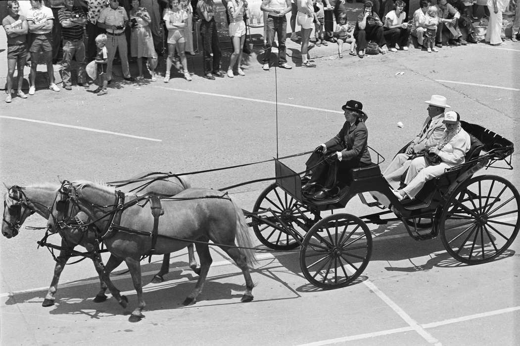 Coon Rapids Enterprise, Coon Rapids, horse and buggy, Iowa, Animals, historic, United States, ia, history, Photos, IA