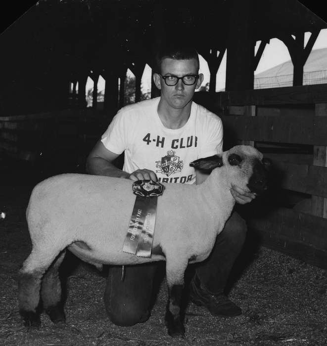 ia, Civic Engagement, Barns, Iowa, IA, Coon Rapids, fair, Coon Rapids Enterprise, United States, 4-h, history, Portraits - Individual, Animals, Farms, Photos, ribbons, historic, sheep