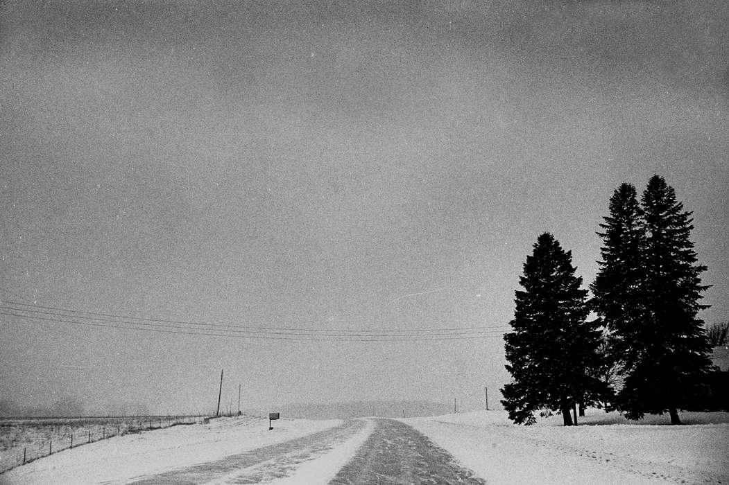 history of Iowa, Winter, Iowa History, snow, highway, Ottumwa, IA, Lemberger, LeAnn, Iowa, tree, mailbox
