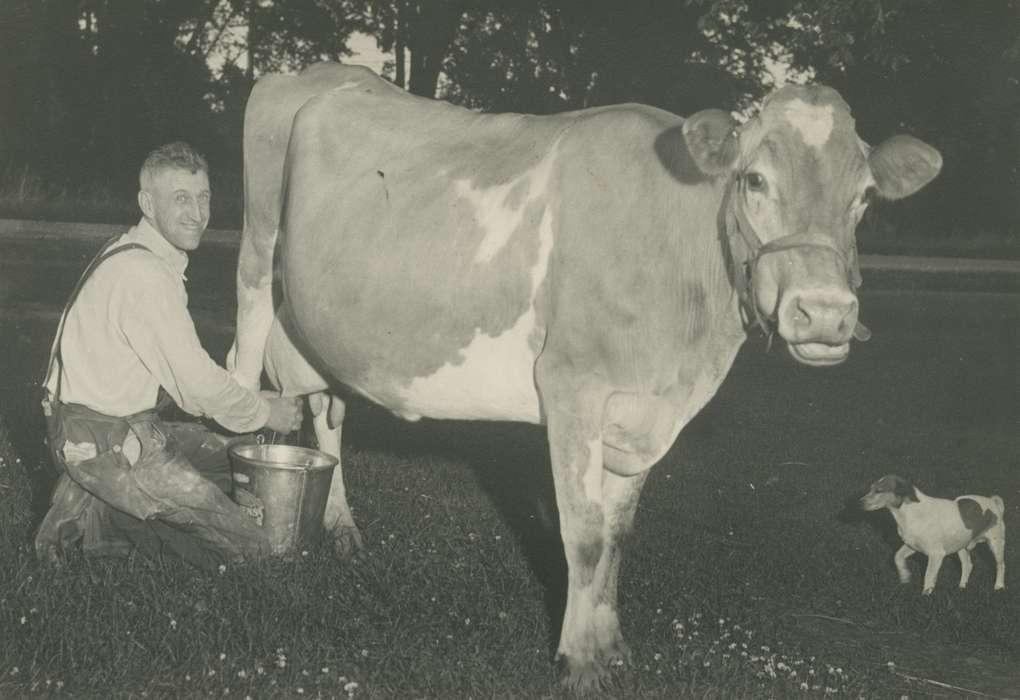 McDermott, Helen, dog, Epworth, IA, Iowa, Iowa History, Farms, cow, Portraits - Individual, Animals, Labor and Occupations, pail, milking, history of Iowa
