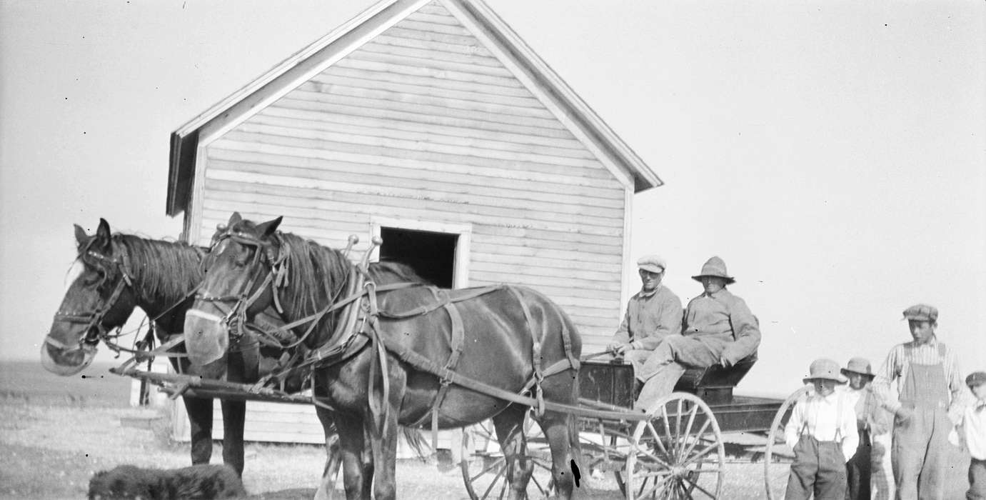 Farming Equipment, Animals, Iowa, Iowa History, MT, University of Northern Iowa Museum, history of Iowa, Farms
