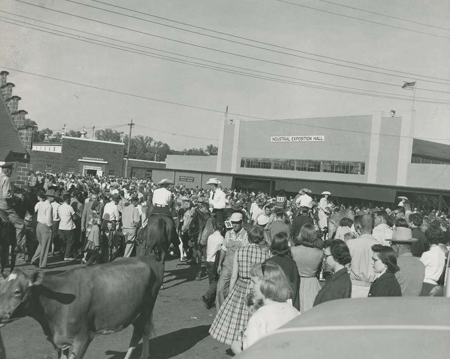 Black Hawk, cattle congress, IA, Photos, Waterloo, ia, national cattle congress, United States, Animals, history, Iowa, cow, horse, Grout Museum of History and Science, historic, Fairs and Festivals
