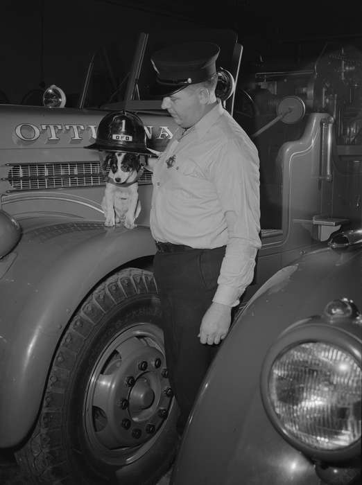 dog, fire department, fire truck, fireman, puppy, silly
